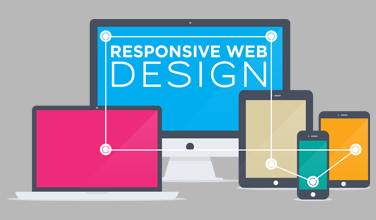 Web Designing & Development